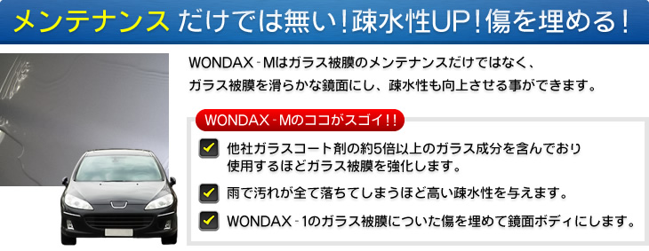 wondax-m_03.jpg
